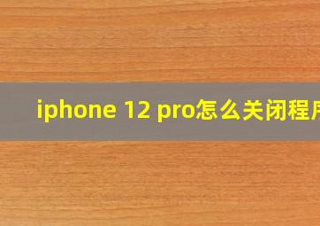 iphone 12 pro怎么关闭程序